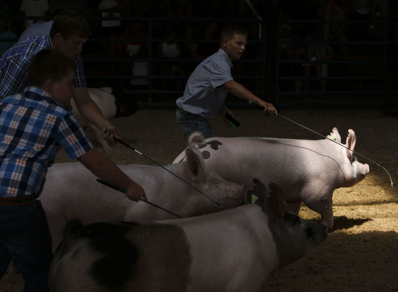 080921-qc-nws-fair-14.JPG